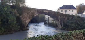 Balade entre Lestelle-bétharram et Montaut - Lestelle-Bétharram - 14