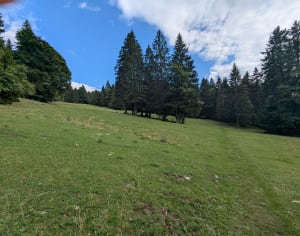 Le Morond et le Mont d'Or - PASCAL - 17