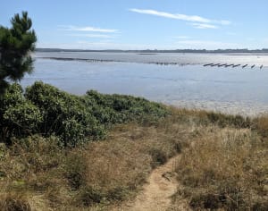 Plage des Granges et Penn Lann - David - 2