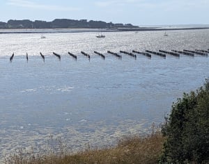 Plage des Granges et Penn Lann - David - 6