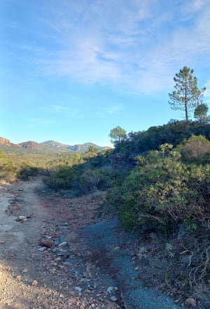 Petit tour dans le massif de l'Esterel - Saint-Raphaël - 11