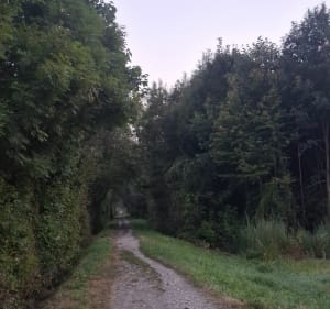 St Martin => Villy => St Martin - Sallanches - 3