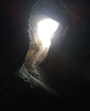 Forêt de Corsuet et sa mystérieuse Grotte des Fées - Brison-Saint-Innocent - 29