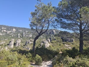 Le Cirque de Mourèze - Mourèze - 60