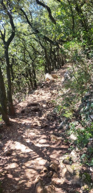 Le Cirque de Mourèze - Mourèze - 62