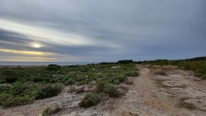 Balade à Carro par la Plaine de Bonnieu - Martigues - 7