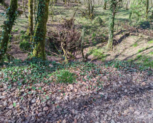 Boucle entre Ancerville et Bettancourt - Ancerville - 2