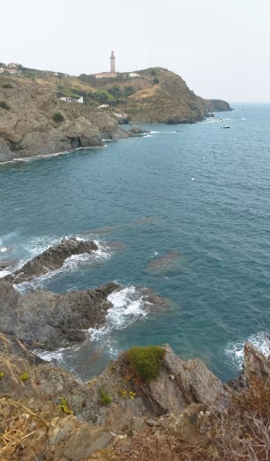 Sentier du littoral de Port vendre - Port-Vendres - 9