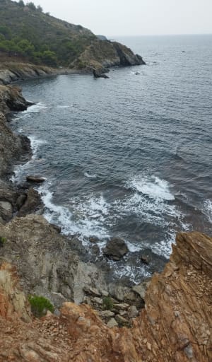 Sentier du littoral de Port vendre - Port-Vendres - 8