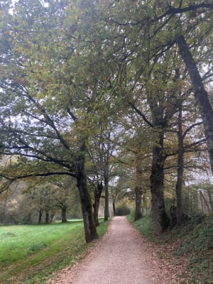 Flâneries au long cours de l'Aveyron - Rodez - 10