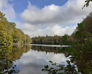 Promenade forestière autour de Nantiat - Nantiat - 10