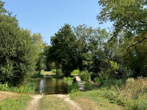 Balade à Lichères - Lichères - 5