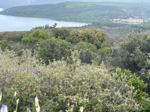 Sentier du museau de la colline - Baudinard-sur-Verdon - 19