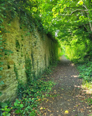 Balades au dessus du Blavet entré bois et halage. - Hennebont - 17
