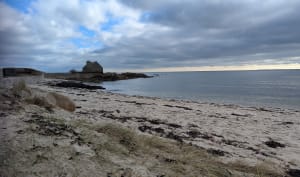 La baie de Quiberon par le GR® 34 à la Trinité-sur-Mer - Saint-Philibert - 4