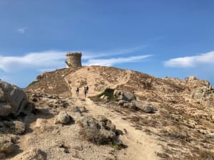 Boucle de la Punta d'Omigna - Cargèse - 63