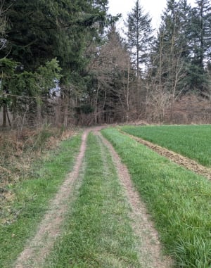 Tour du bois du four - Oytier-Saint-Oblas - 4