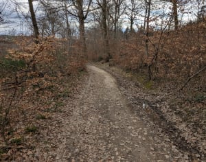 Tour du bois du four - Oytier-Saint-Oblas - 5