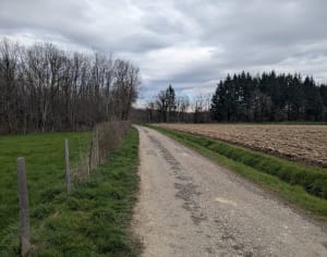 Tour du bois du four - Oytier-Saint-Oblas - 8