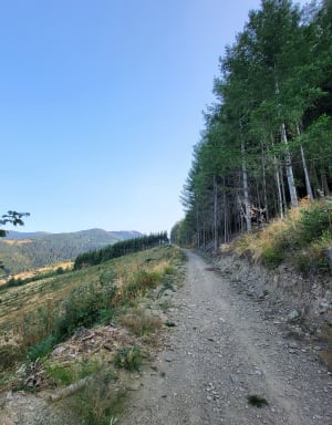Boucle du Planil et envolée des sens - Eliane - 5
