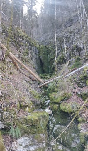 Découverte de la Bienne par Doye Gabet - Hauts-de-Bienne - 24