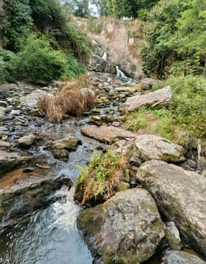 Balade à Mortain - Mortain-Bocage - 15