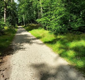 Wycieczka rowerowa przez Trójmiejski Park - Gdynia - 2