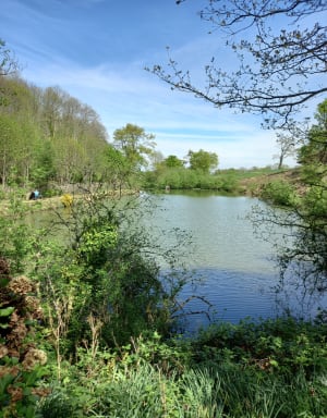 Rando du Mingrey, depuis Saint-Gilles - Saint-Gilles - 14