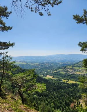 Rando sur le Mont de Vouan et anciennes meulières - Viuz-en-Sallaz - 7