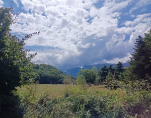Etang de Haute-Jarrie et réserve naturelle près d'Echirolles - Jarrie - 3