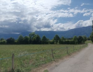 Etang de Haute-Jarrie et réserve naturelle près d'Echirolles - Jarrie - 7