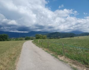 Etang de Haute-Jarrie et réserve naturelle près d'Echirolles - Jarrie - 8