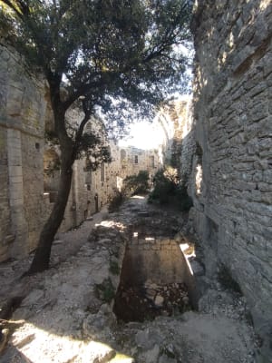 Verkenning van het Château de Viviourès en luchtsensaties - Saint-Mathieu-de-Tréviers, Valfaunès - 15