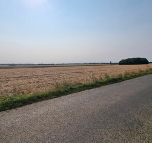 Entre champs et villages à Ouzouer le Doyen - Ouzouer-le-Doyen - 2