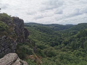 La Roche d'Oëtre et la Rouvre par le sentier des méandres - Saint-Philbert-sur-Orne - 12
