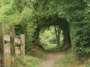La Roche d'Oëtre et la Rouvre par le sentier des méandres - Saint-Philbert-sur-Orne - 15