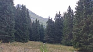 Balade au territoire des marmottes près du mont Charvin - Le Bouchet-Mont-Charvin - 7