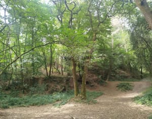 Sentier de Carabosse - Guémené-Penfao - 3