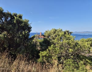 Tour du Dramont et Cap Esterel - Saint-Raphaël - 39