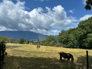 Mouxy en levensgroot geluk op volle toeren - Mouxy - 11