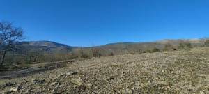Boeiende wandeling in Saint-Vallier-de-Thiey - Saint-Vallier-de-Thiey - 6