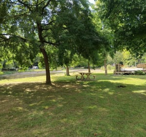 Balade à vélo familiale de Tessy à Pont-Farcy - Tessy-Bocage - 3