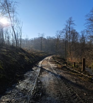 Rando au Val-Joly - Eppe-Sauvage - 12