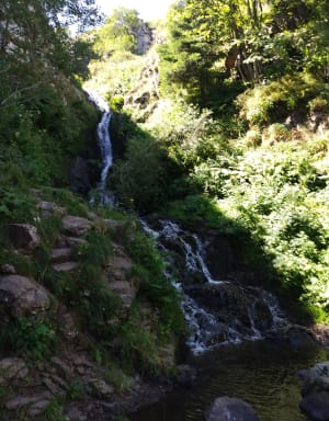 Wandel naar de Chaudeyrolles-waterval - Chaudeyrolles - 19