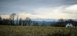 Balade dans le bois de Sauvagnon - Sauvagnon - 4