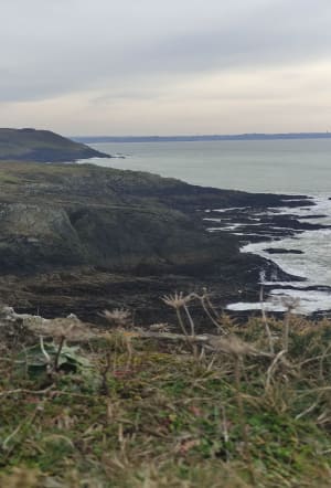 Petite promenade à la pointe de Talagrip avec Wachthaus. - Plomodiern - 23