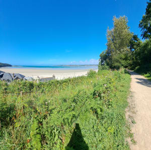 Boucle de Sainte Barbe - Plestin-les-Grèves - 51