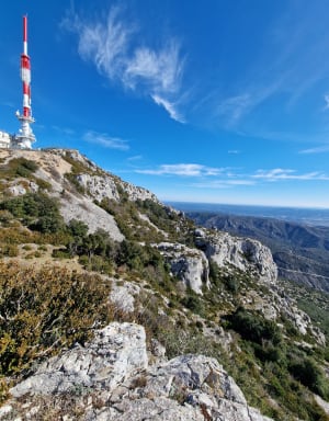 Boucle du mont Saint-Baudille et panorama méditerranéen - Montpeyroux - 36