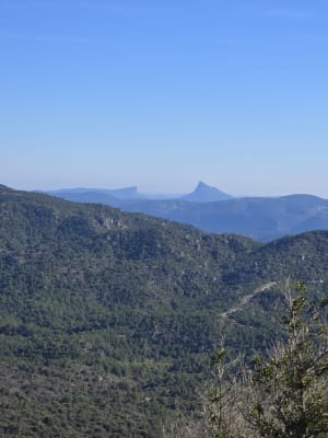 Boucle du mont Saint-Baudille et panorama méditerranéen - Montpeyroux - 37