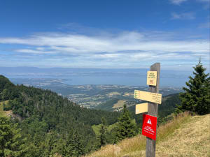 Balade du Mont Forchat depuis Très le Mont - Lullin - 11